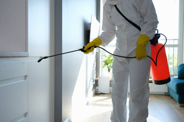 Best Emergency Mold Removal  in New Orleans Station, LA