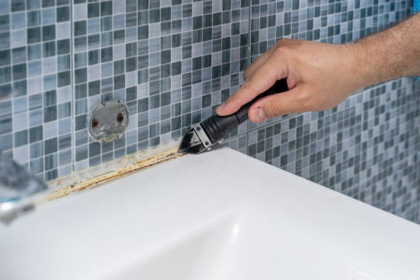 Best Mold Testing  in New Orleans Station, LA