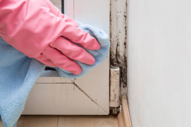 Water Damage Restoration in New Orleans Station, LA